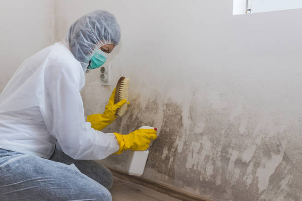 Best Asbestos and Lead Testing During Mold Inspection  in Woodbury, NJ