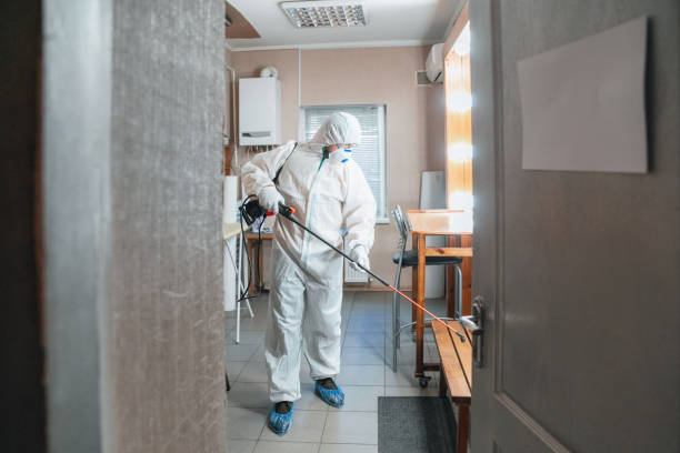 Best Attic Mold Removal  in Woodbury, NJ