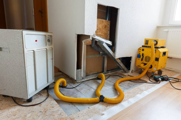 Best Commercial Mold Inspection  in Woodbury, NJ